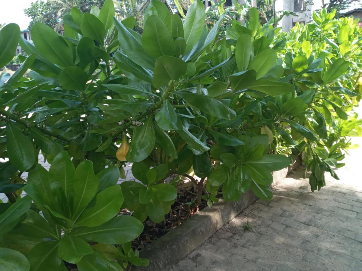 בנטוטה Tharul Home מראה חיצוני תמונה